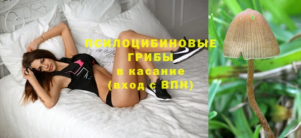 экстази Алзамай