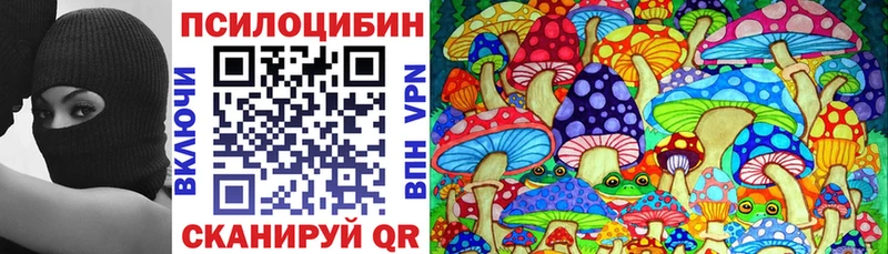 Галлюциногенные грибы Psilocybe  Бирск 